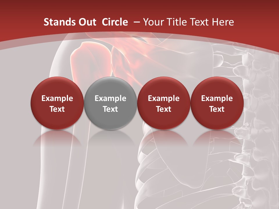 The Back Of A Skeleton With A Red Background PowerPoint Template