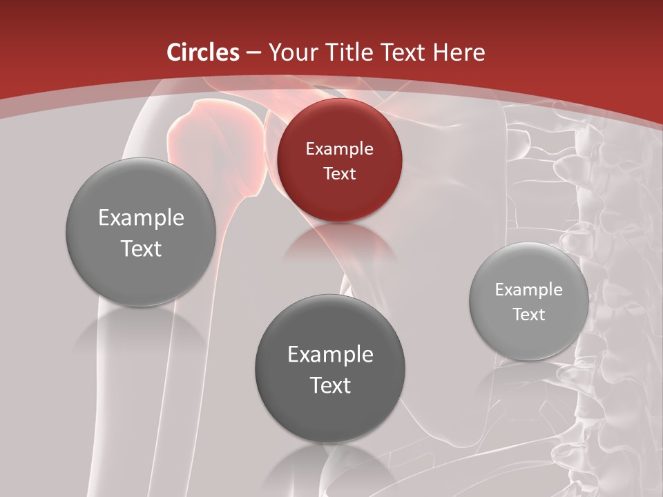 The Back Of A Skeleton With A Red Background PowerPoint Template