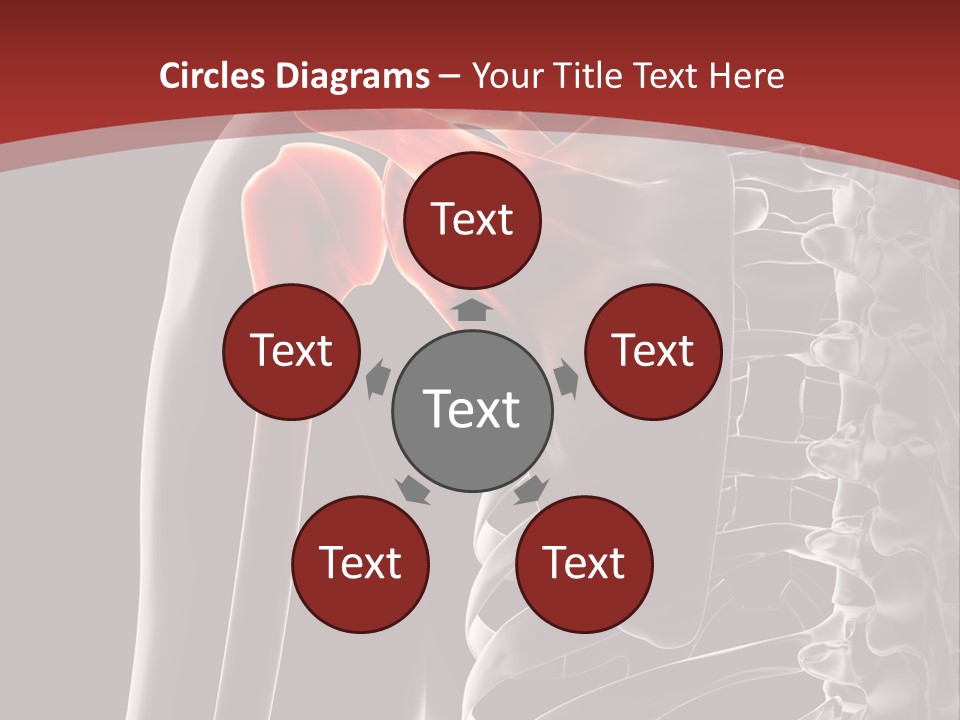 The Back Of A Skeleton With A Red Background PowerPoint Template