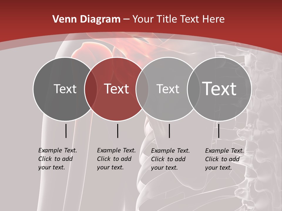 The Back Of A Skeleton With A Red Background PowerPoint Template