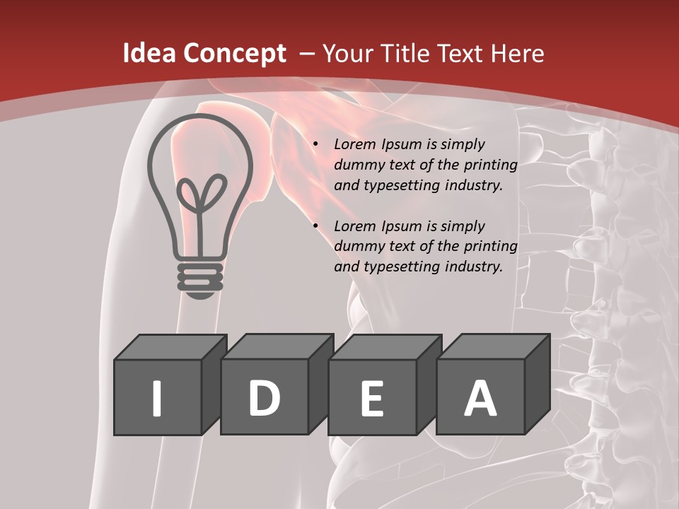 The Back Of A Skeleton With A Red Background PowerPoint Template