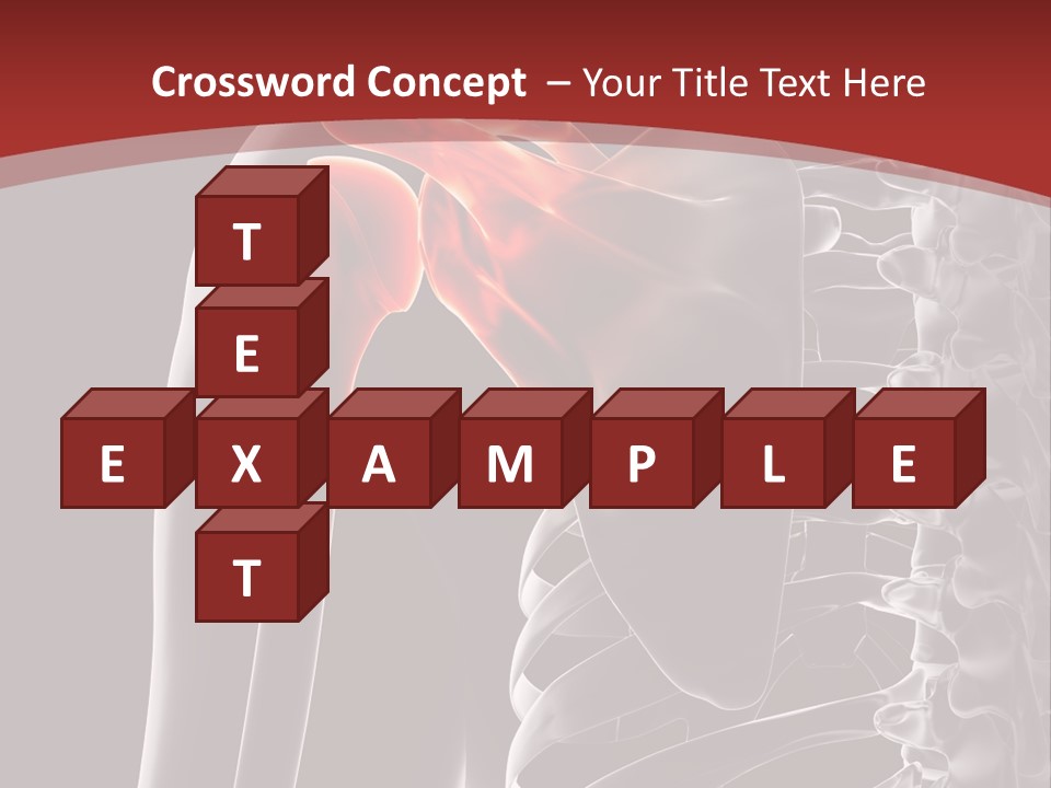 The Back Of A Skeleton With A Red Background PowerPoint Template