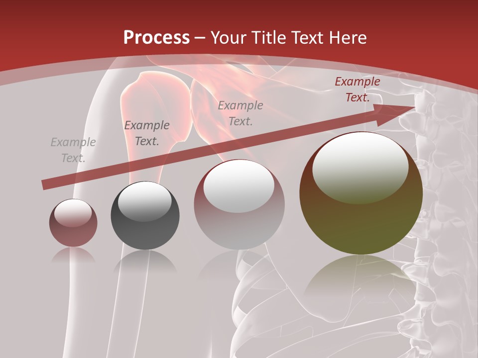 The Back Of A Skeleton With A Red Background PowerPoint Template