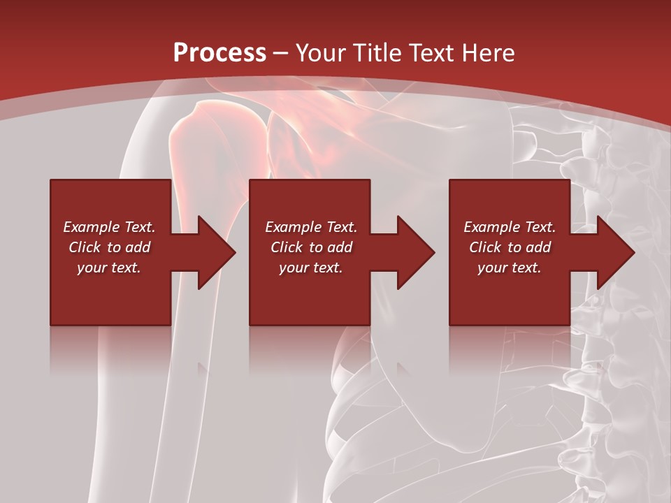 The Back Of A Skeleton With A Red Background PowerPoint Template