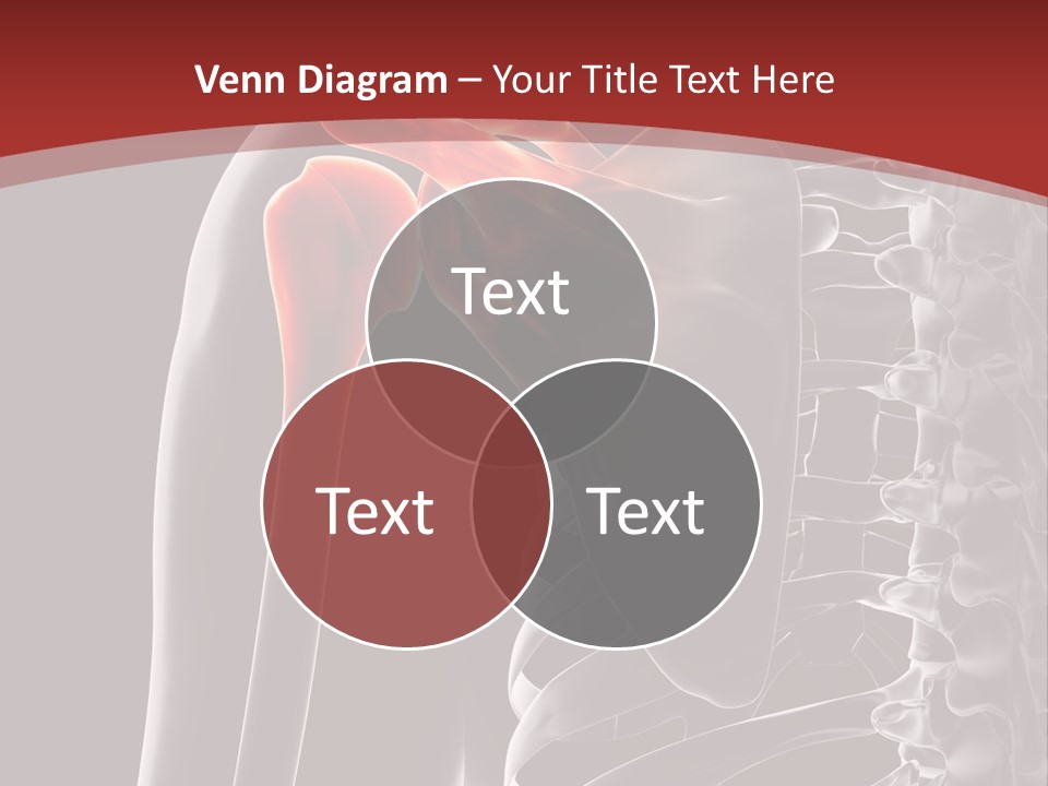 The Back Of A Skeleton With A Red Background PowerPoint Template
