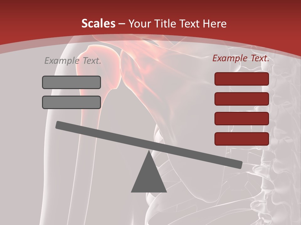 The Back Of A Skeleton With A Red Background PowerPoint Template