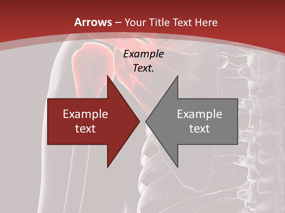 The Back Of A Skeleton With A Red Background PowerPoint Template