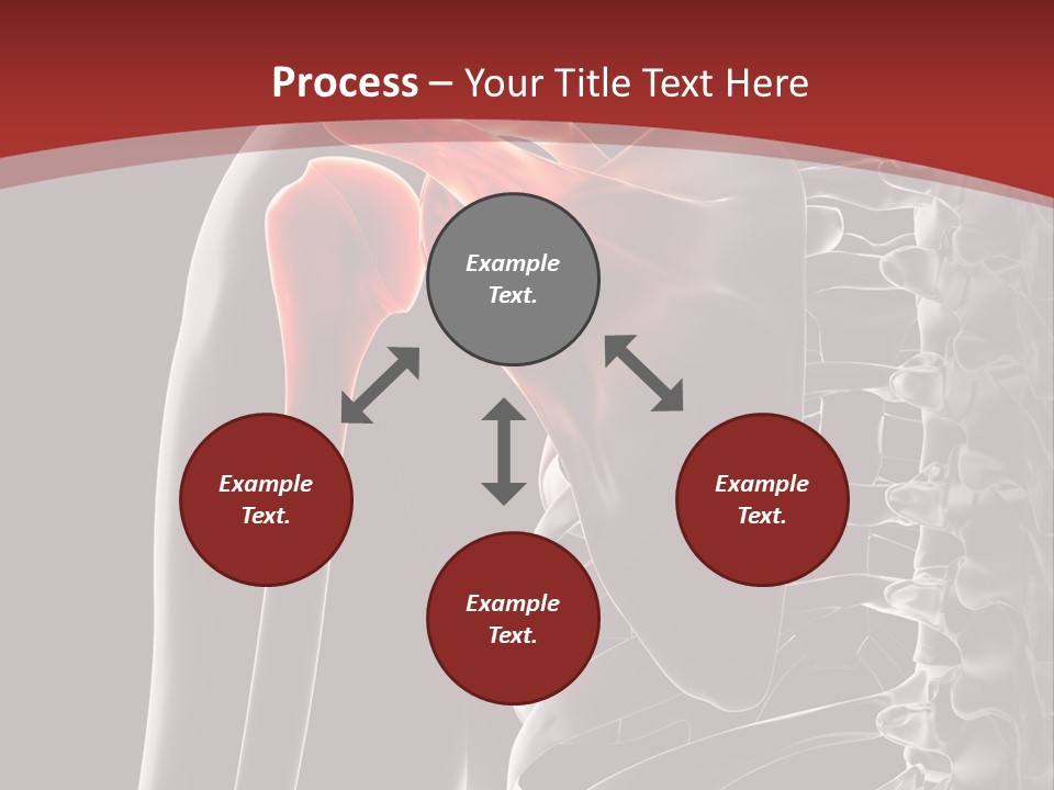 The Back Of A Skeleton With A Red Background PowerPoint Template