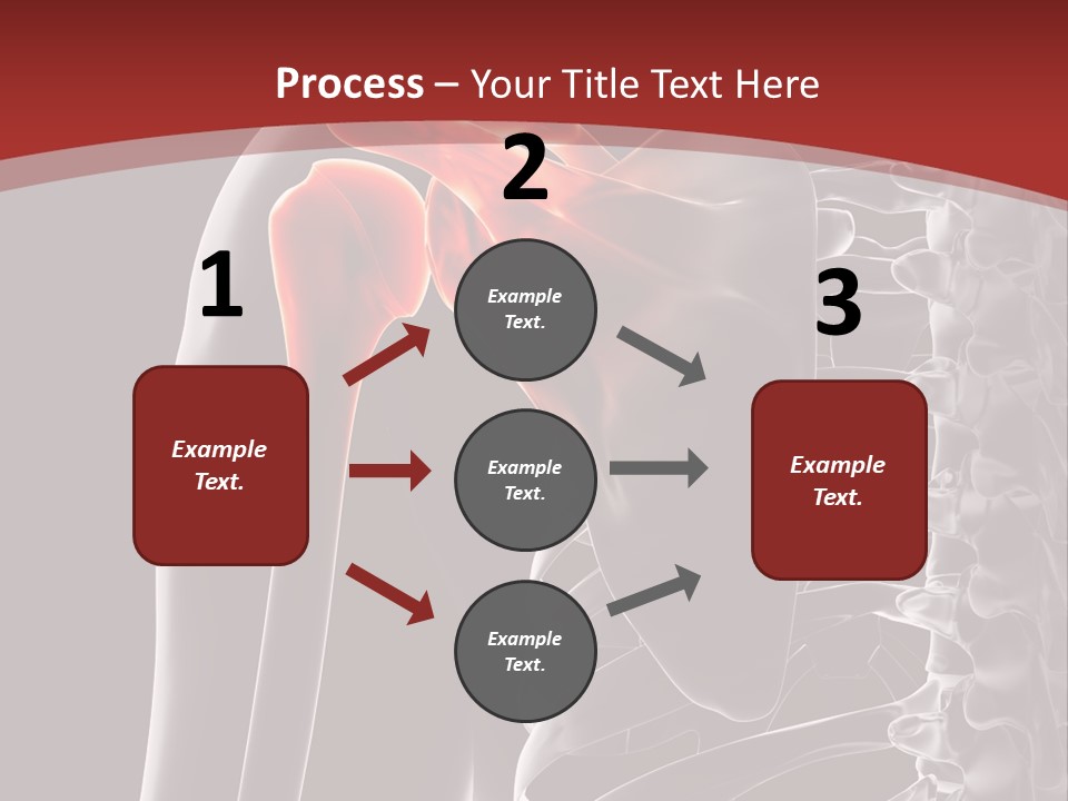 The Back Of A Skeleton With A Red Background PowerPoint Template