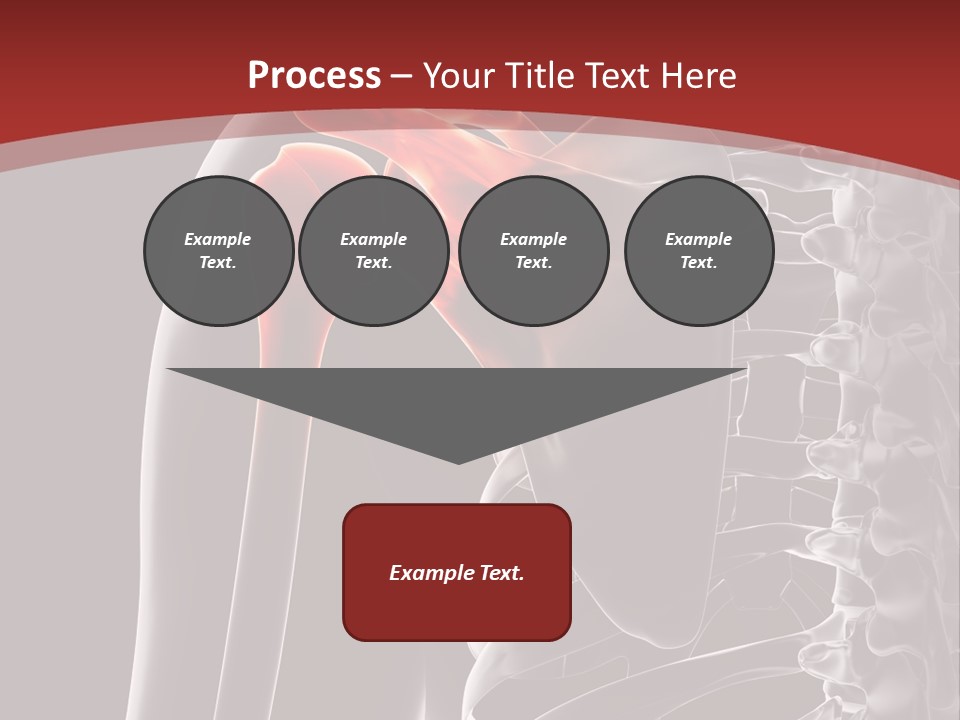 The Back Of A Skeleton With A Red Background PowerPoint Template