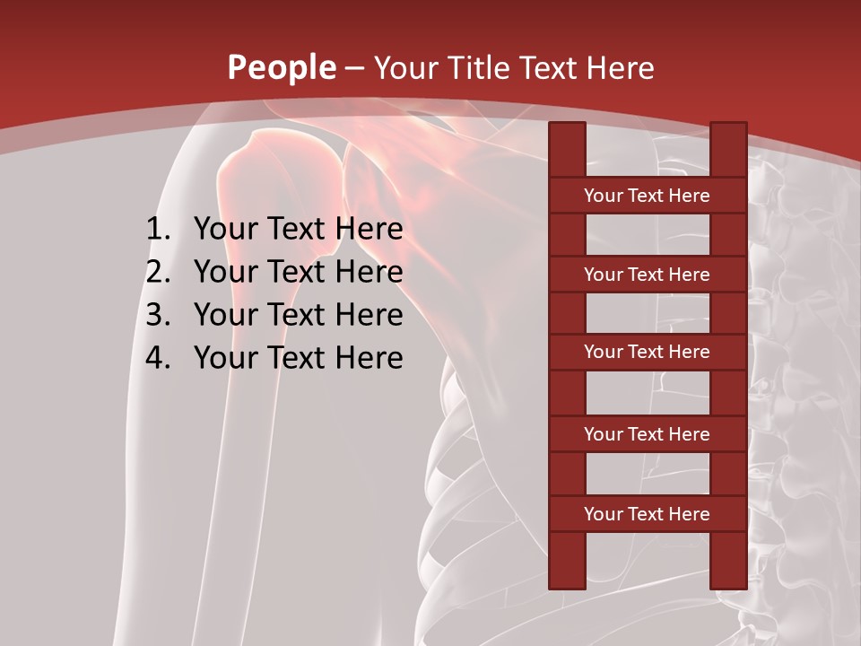 The Back Of A Skeleton With A Red Background PowerPoint Template
