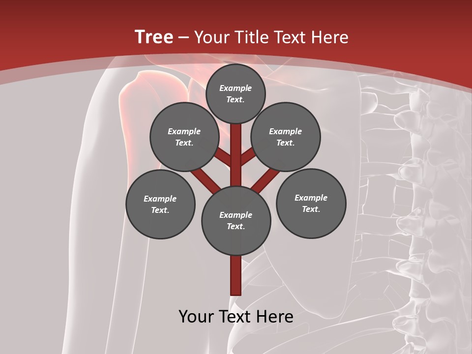 The Back Of A Skeleton With A Red Background PowerPoint Template