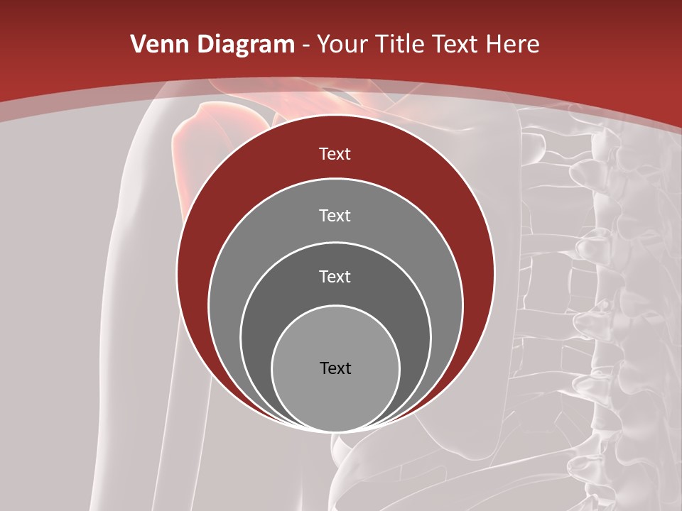 The Back Of A Skeleton With A Red Background PowerPoint Template