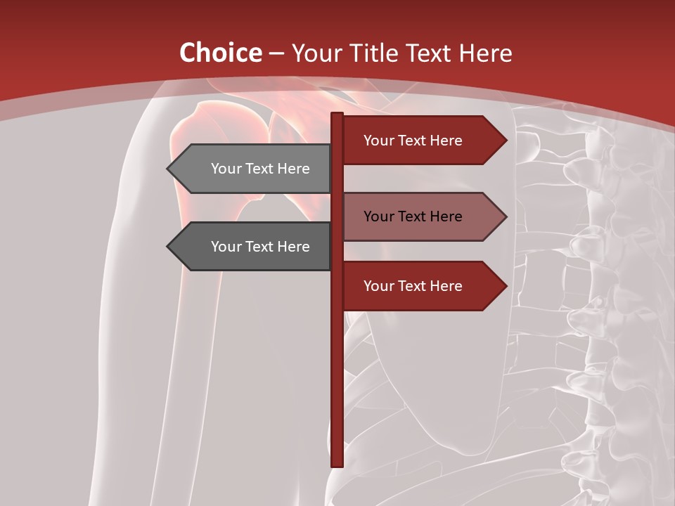 The Back Of A Skeleton With A Red Background PowerPoint Template