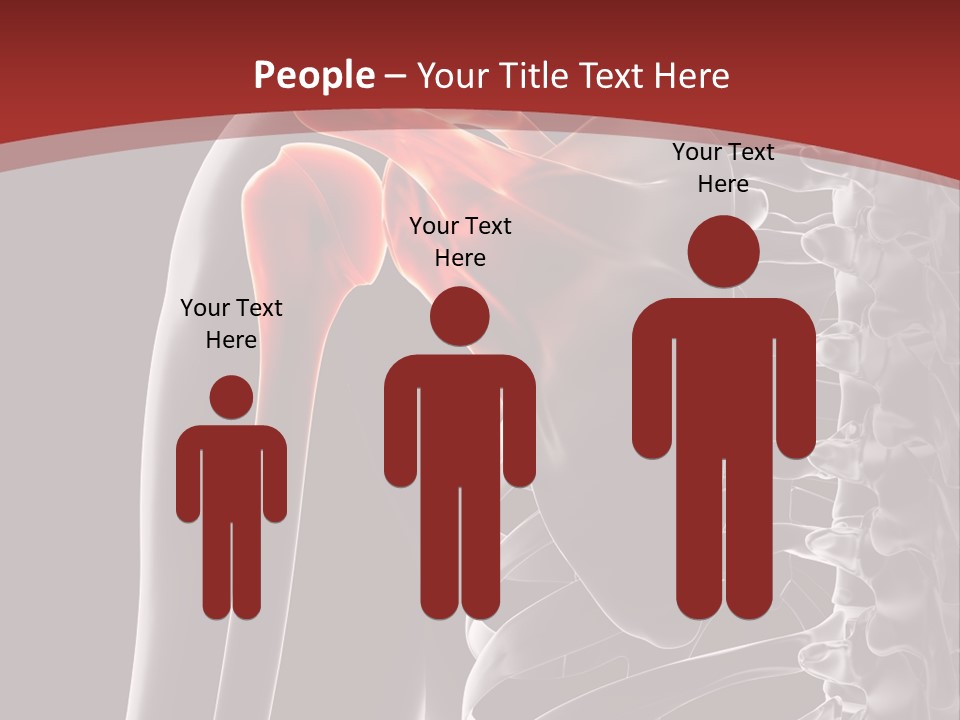 The Back Of A Skeleton With A Red Background PowerPoint Template