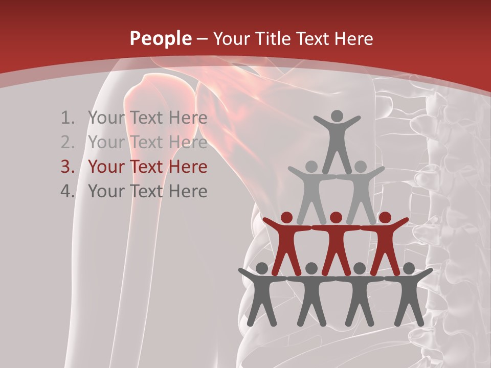 The Back Of A Skeleton With A Red Background PowerPoint Template