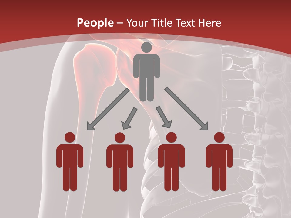The Back Of A Skeleton With A Red Background PowerPoint Template