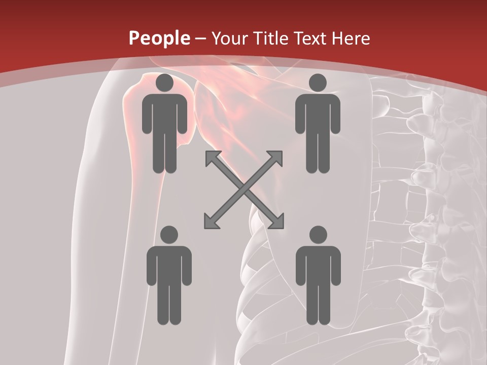 The Back Of A Skeleton With A Red Background PowerPoint Template