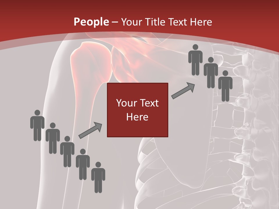 The Back Of A Skeleton With A Red Background PowerPoint Template