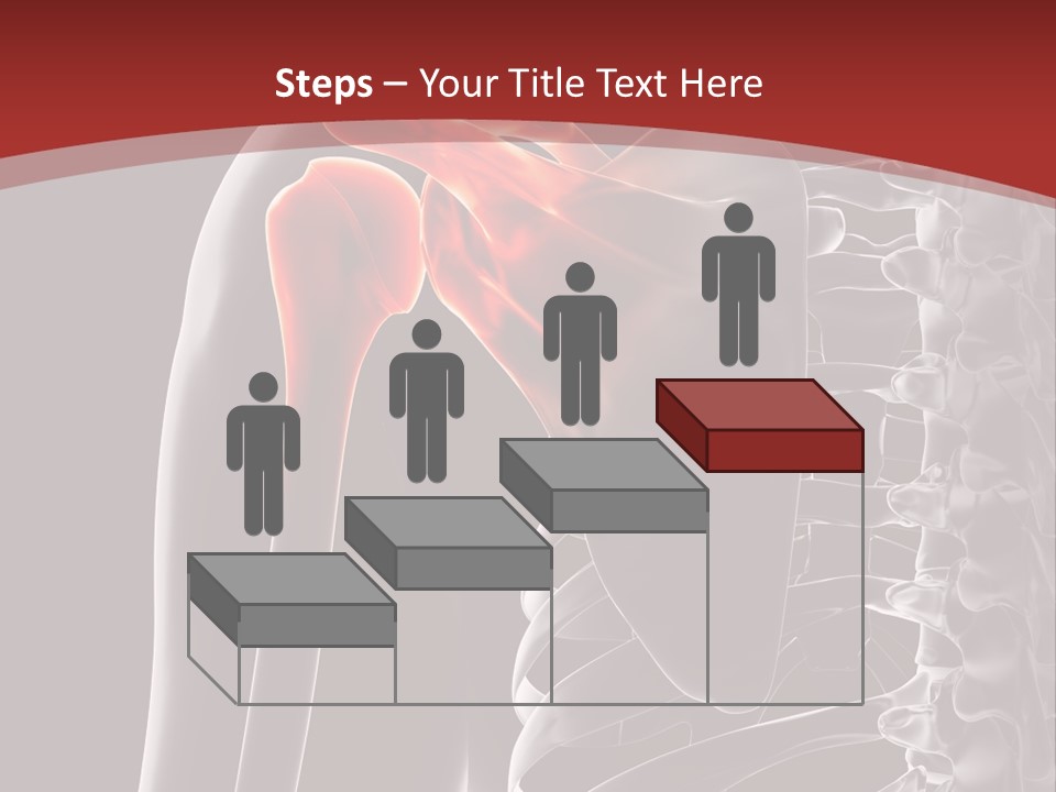 The Back Of A Skeleton With A Red Background PowerPoint Template
