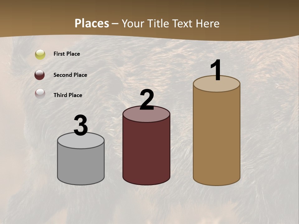 A Brown Bear Walking Across A Dry Grass Covered Field PowerPoint Template