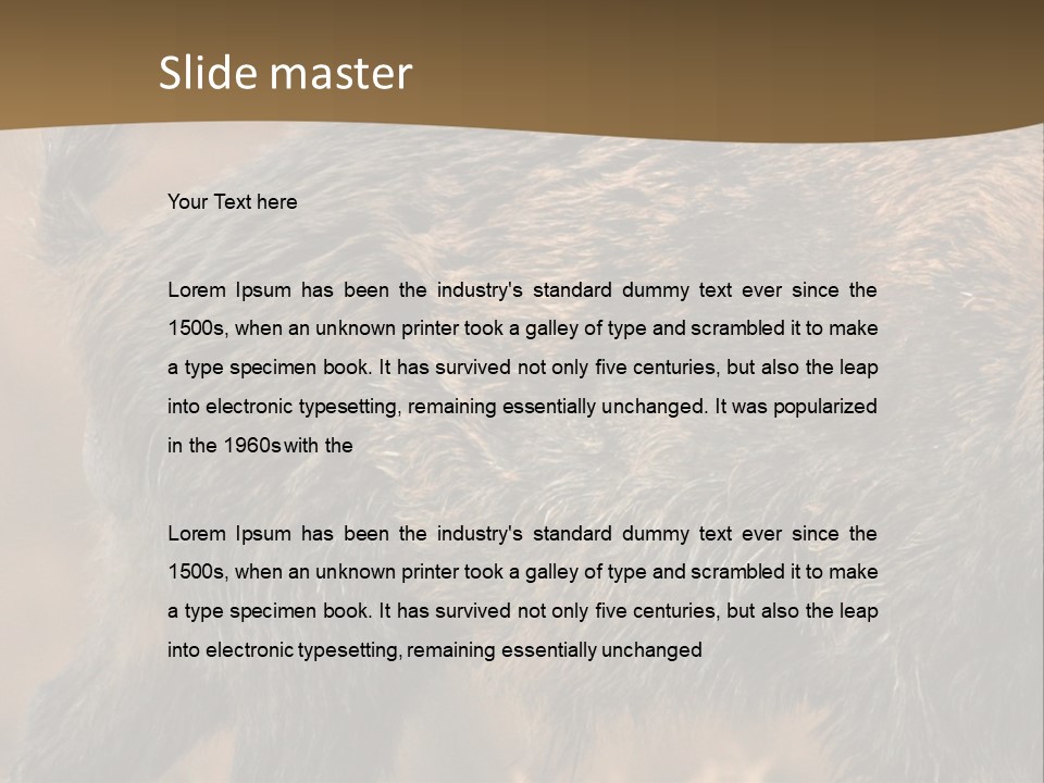 A Brown Bear Walking Across A Dry Grass Covered Field PowerPoint Template