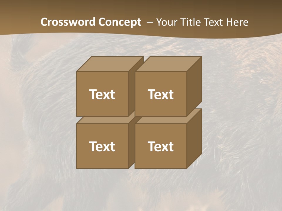 A Brown Bear Walking Across A Dry Grass Covered Field PowerPoint Template