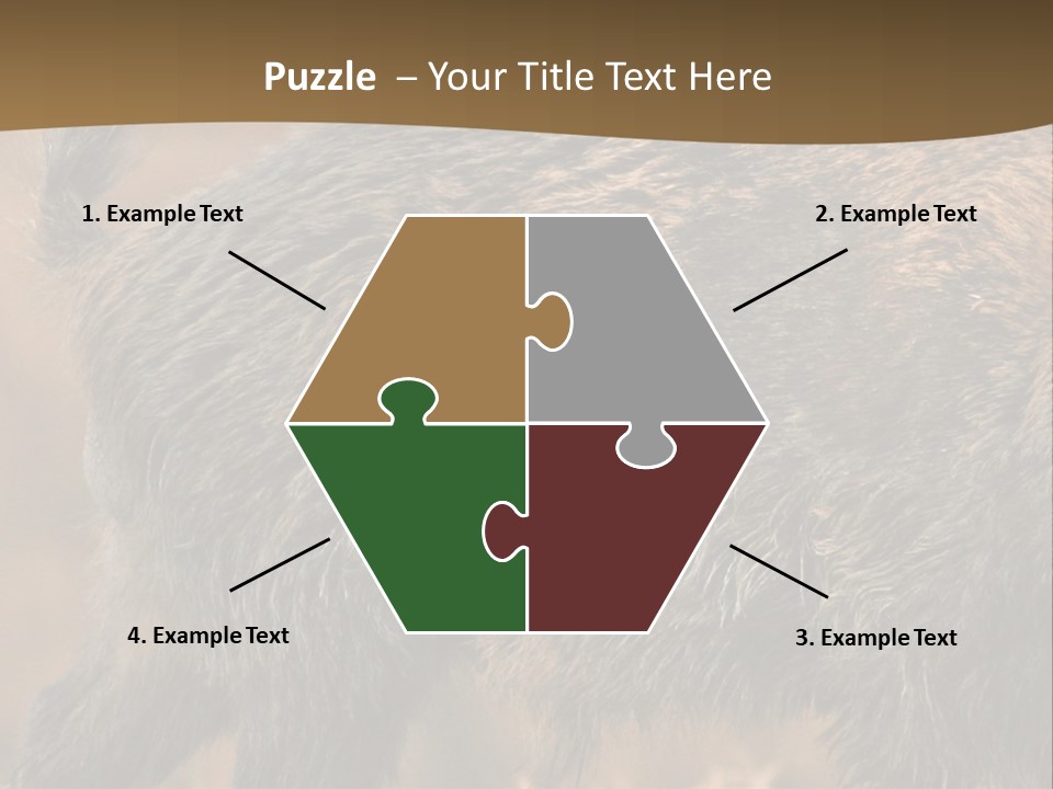 A Brown Bear Walking Across A Dry Grass Covered Field PowerPoint Template