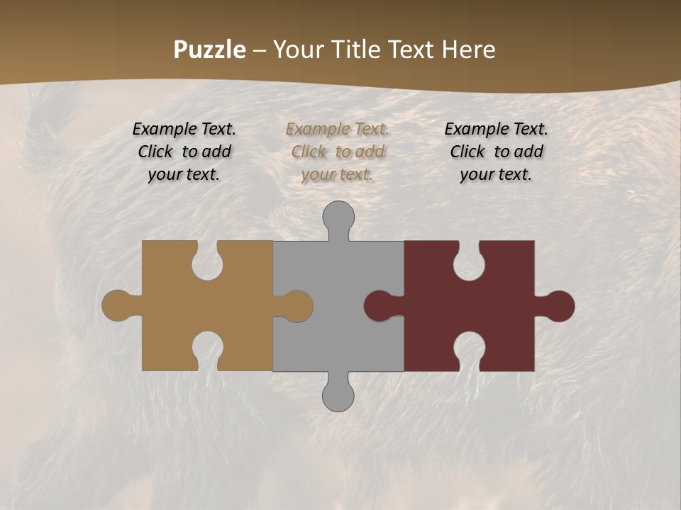 A Brown Bear Walking Across A Dry Grass Covered Field PowerPoint Template