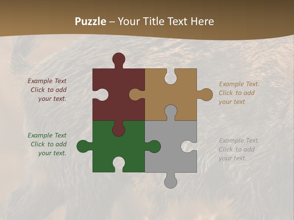 A Brown Bear Walking Across A Dry Grass Covered Field PowerPoint Template