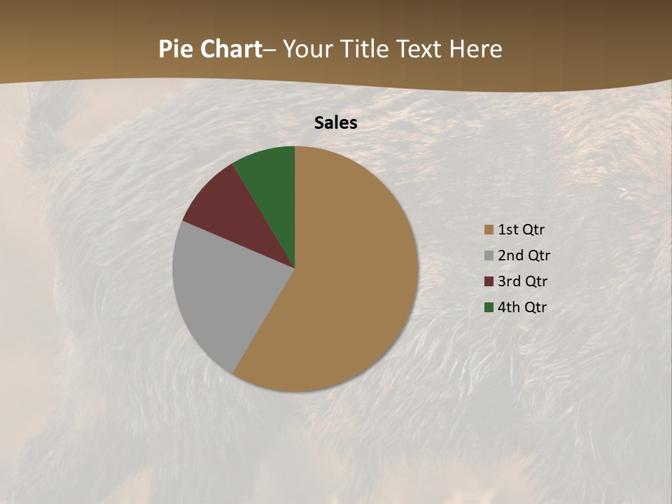 A Brown Bear Walking Across A Dry Grass Covered Field PowerPoint Template
