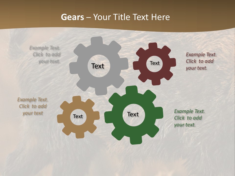 A Brown Bear Walking Across A Dry Grass Covered Field PowerPoint Template