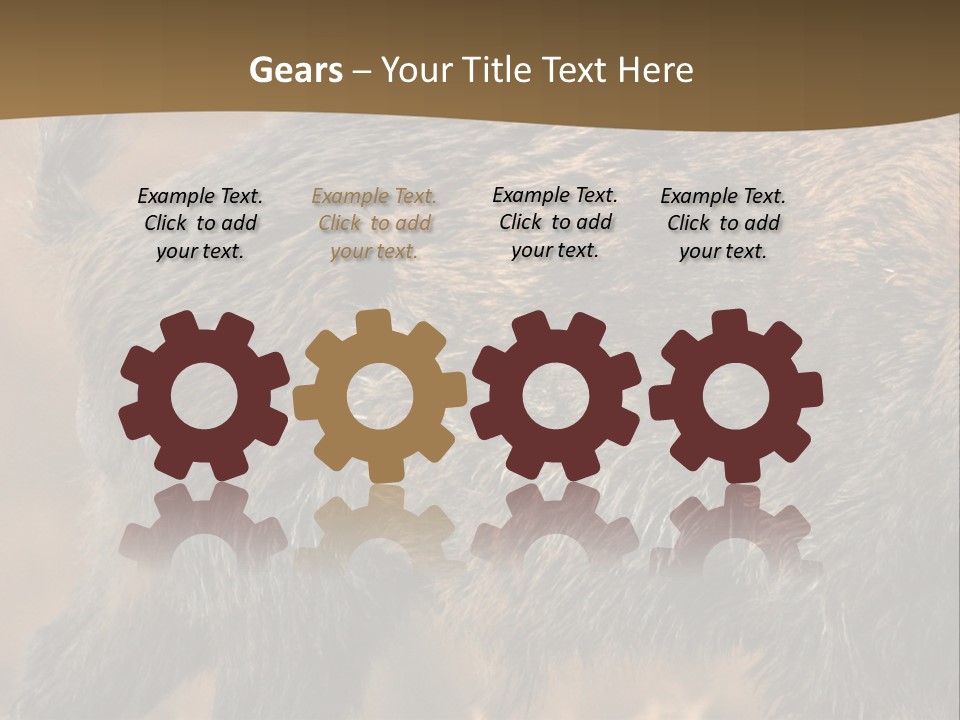 A Brown Bear Walking Across A Dry Grass Covered Field PowerPoint Template