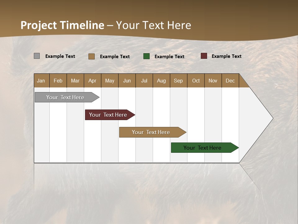 A Brown Bear Walking Across A Dry Grass Covered Field PowerPoint Template