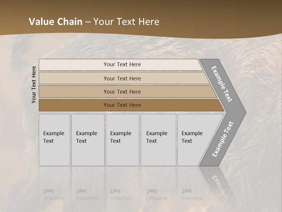 A Brown Bear Walking Across A Dry Grass Covered Field PowerPoint Template