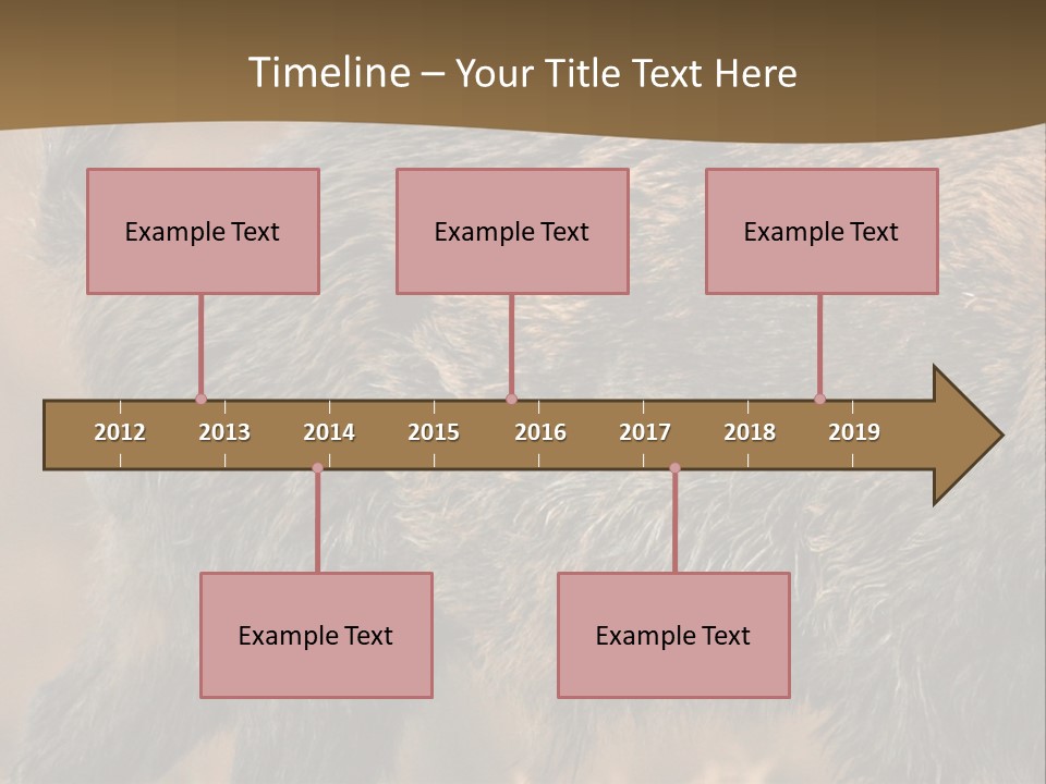 A Brown Bear Walking Across A Dry Grass Covered Field PowerPoint Template