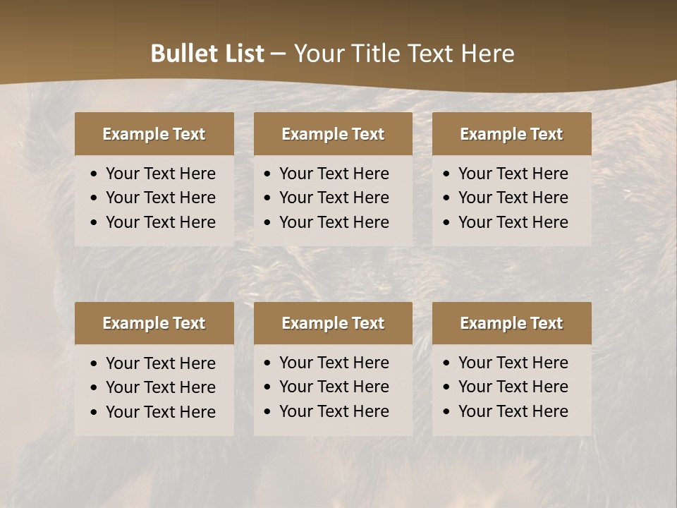 A Brown Bear Walking Across A Dry Grass Covered Field PowerPoint Template