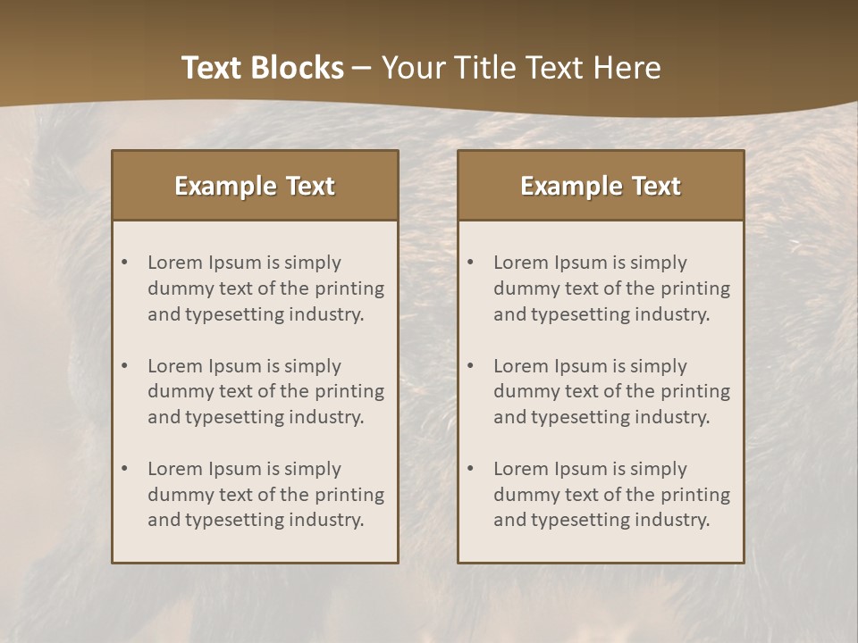 A Brown Bear Walking Across A Dry Grass Covered Field PowerPoint Template