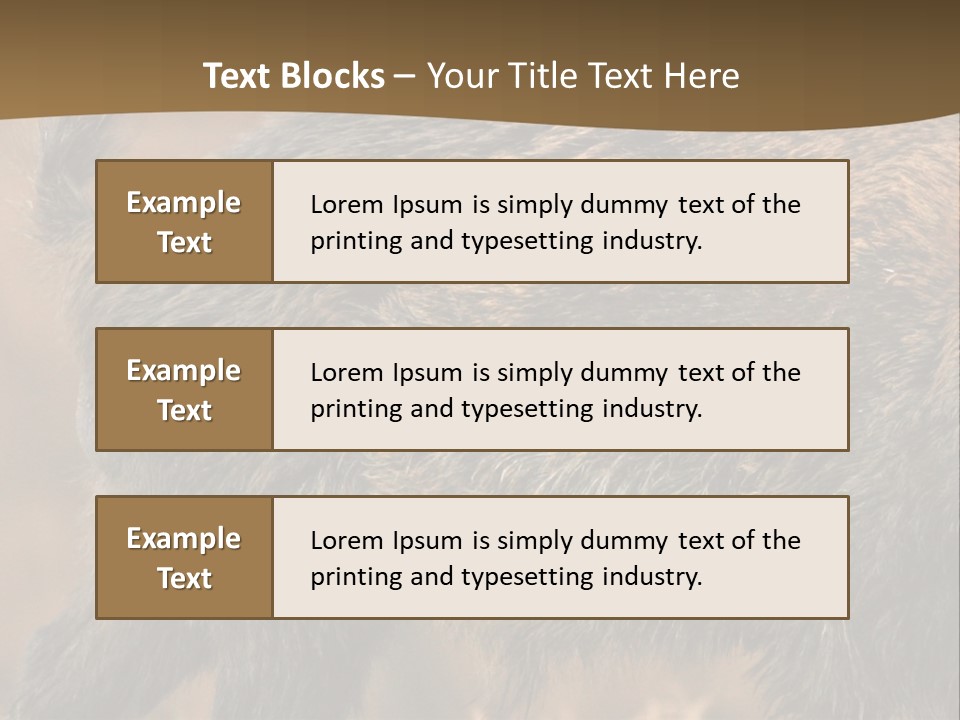 A Brown Bear Walking Across A Dry Grass Covered Field PowerPoint Template