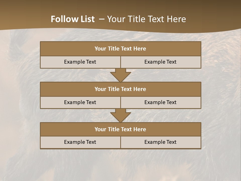 A Brown Bear Walking Across A Dry Grass Covered Field PowerPoint Template
