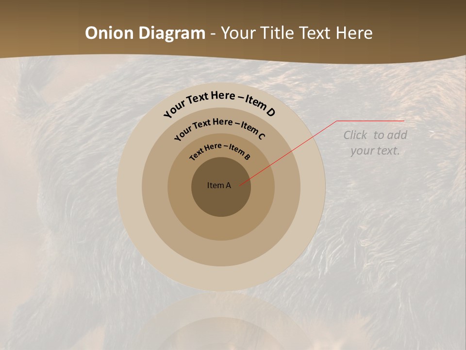 A Brown Bear Walking Across A Dry Grass Covered Field PowerPoint Template
