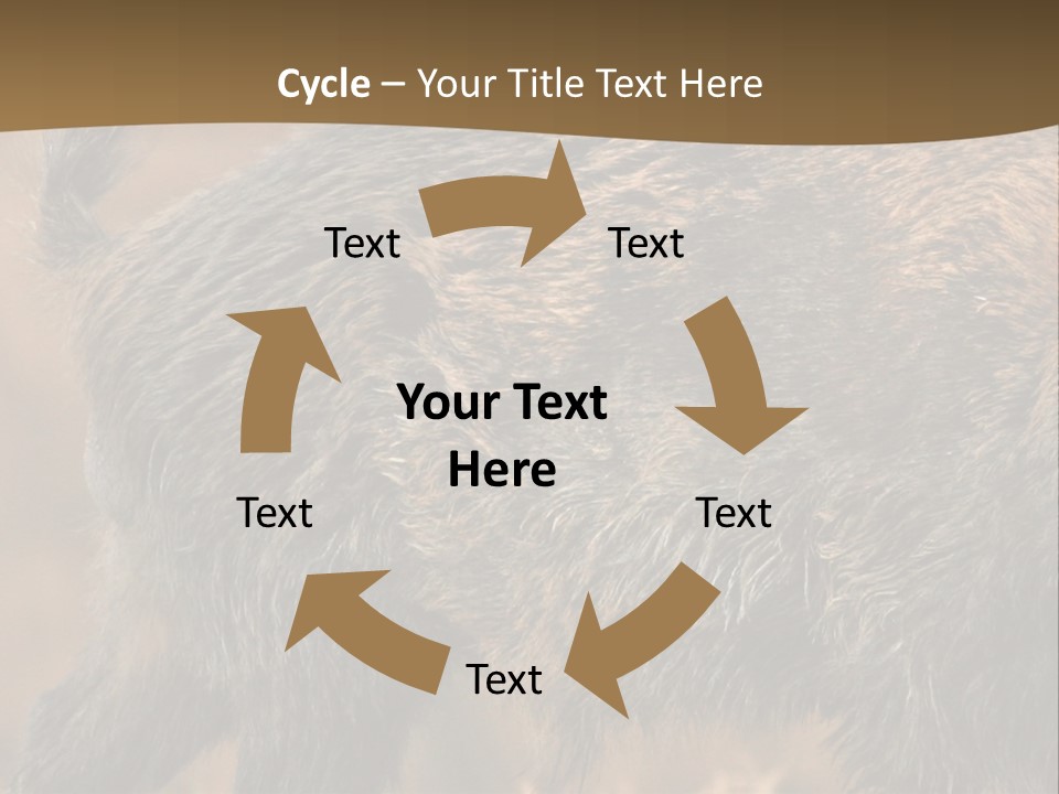 A Brown Bear Walking Across A Dry Grass Covered Field PowerPoint Template