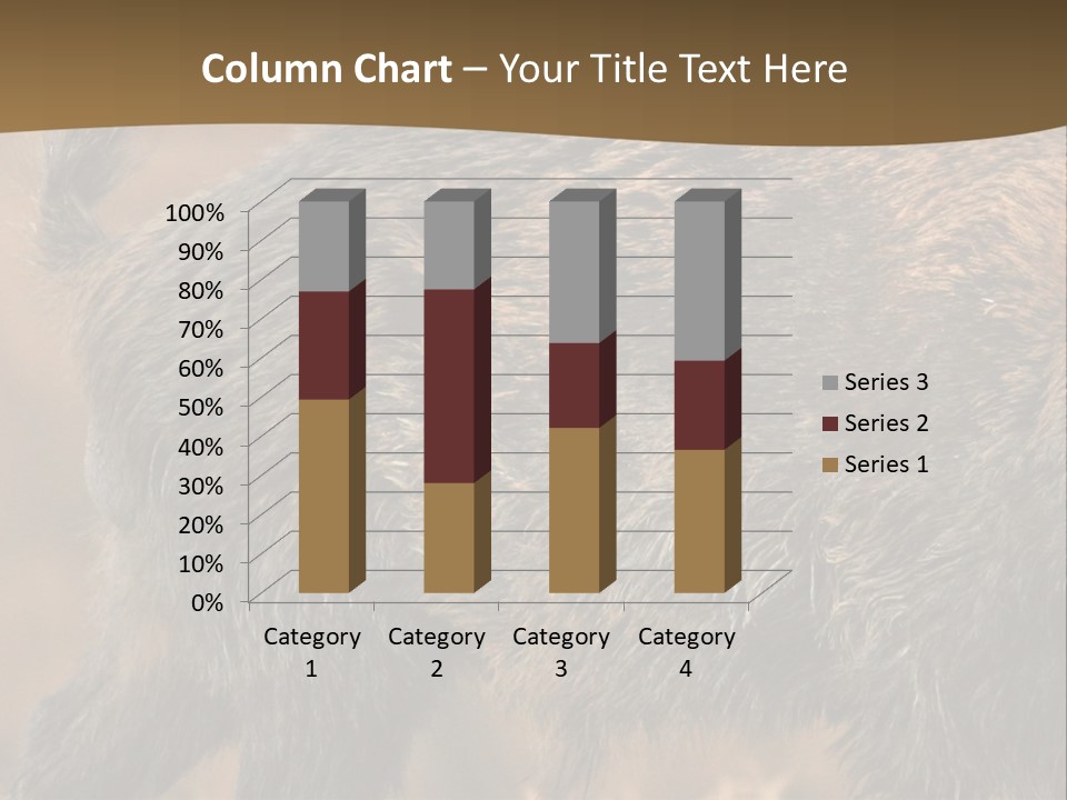 A Brown Bear Walking Across A Dry Grass Covered Field PowerPoint Template
