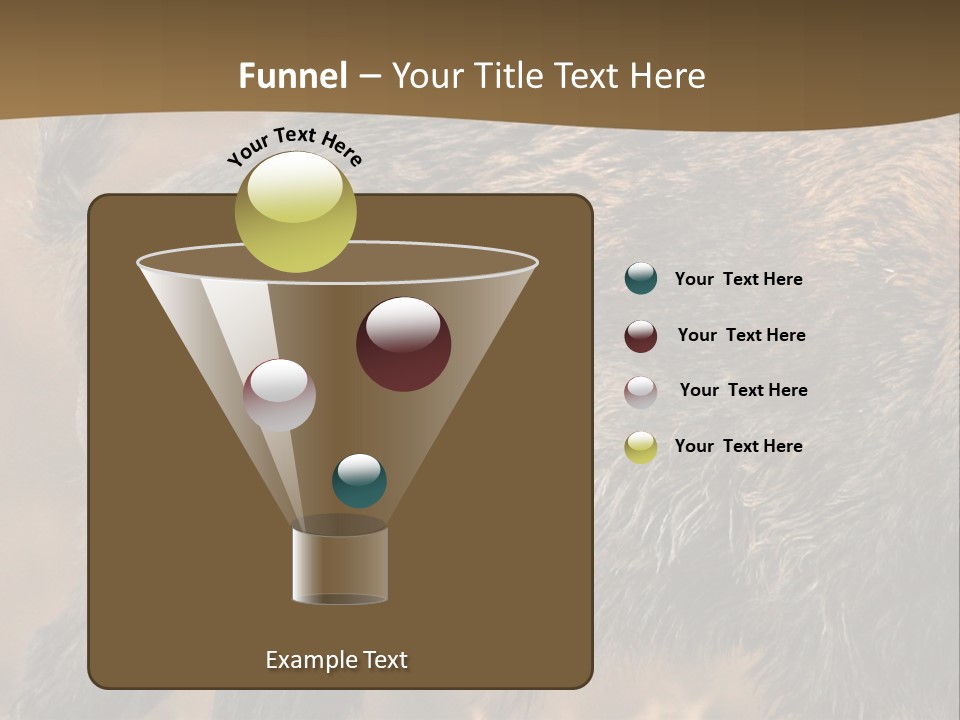 A Brown Bear Walking Across A Dry Grass Covered Field PowerPoint Template