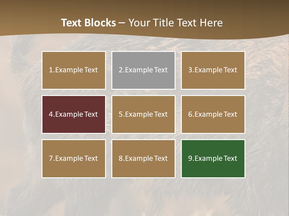 A Brown Bear Walking Across A Dry Grass Covered Field PowerPoint Template