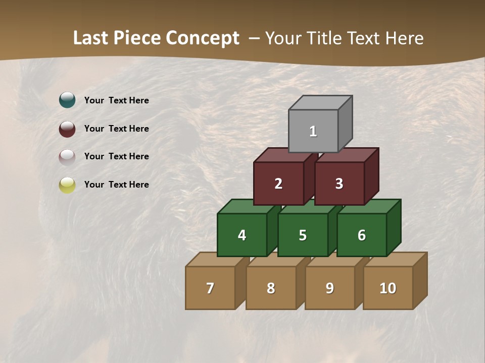 A Brown Bear Walking Across A Dry Grass Covered Field PowerPoint Template