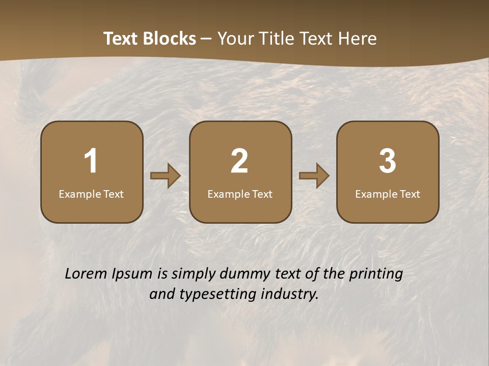A Brown Bear Walking Across A Dry Grass Covered Field PowerPoint Template