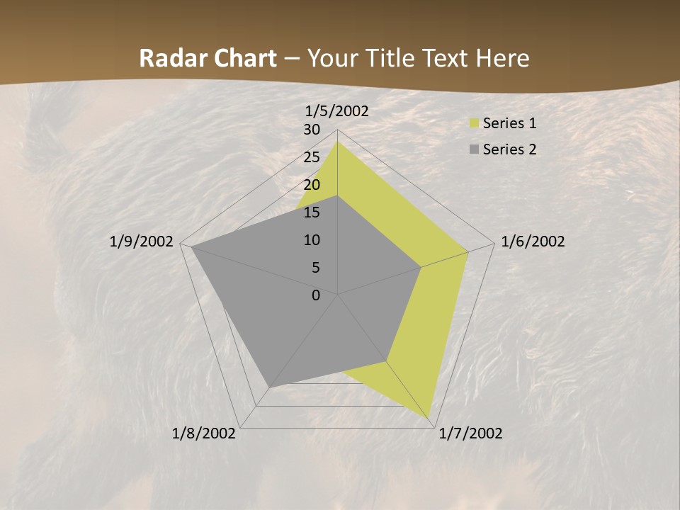 A Brown Bear Walking Across A Dry Grass Covered Field PowerPoint Template