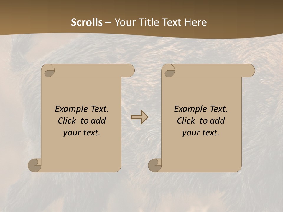 A Brown Bear Walking Across A Dry Grass Covered Field PowerPoint Template