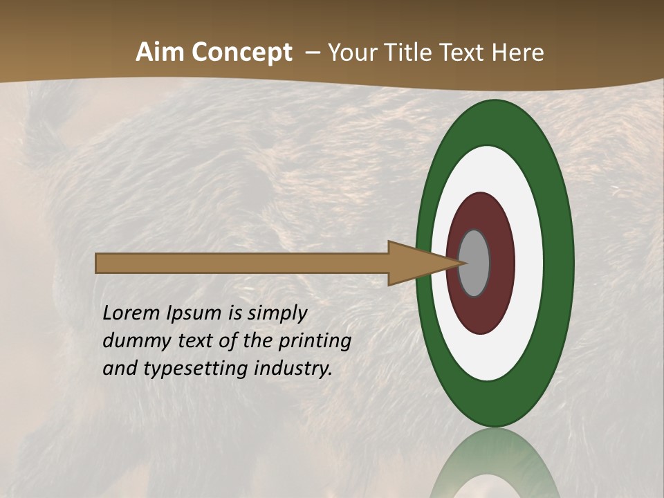 A Brown Bear Walking Across A Dry Grass Covered Field PowerPoint Template